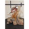 Image 2 : Wood Quail Carving Signed by Artist "BD Jones"