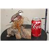 Image 8 : Wood Quail Carving Signed by Artist "BD Jones"