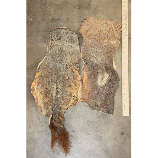 (1) HIPPOPOTAMUS Tail Hide and (1) HIPPO Hide Section (ONE$)