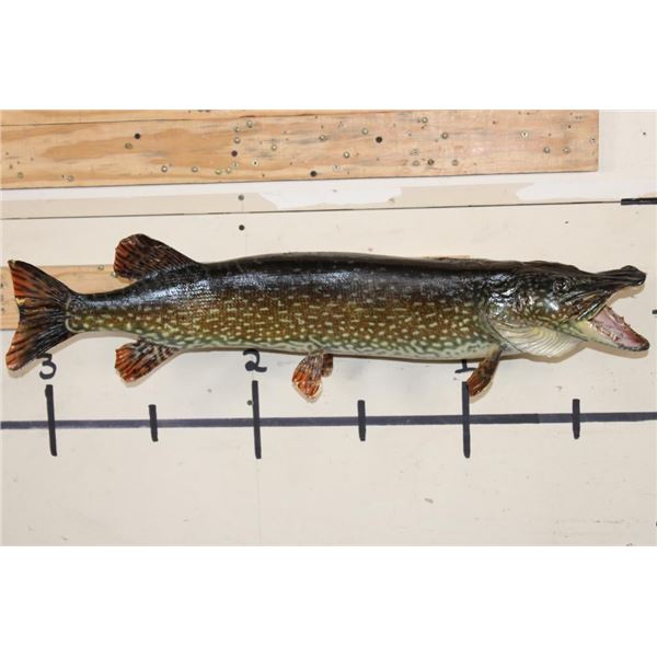 "Real Skin" NORTHERN PIKE Fish Mount