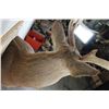 Image 9 : 9-Point WHITETAIL DEER Wall Pedestal