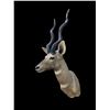Image 2 : Huge LESSER KUDU Shoulder Mount with Record Book Horns
