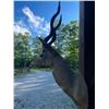 Image 6 : Huge LESSER KUDU Shoulder Mount with Record Book Horns