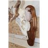 Image 6 : FALLOW DEER Skull on a Wooden Plaque