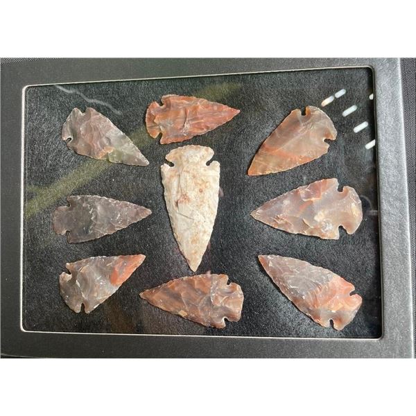 (9) ARROWHEAD Points in a Glass Display Case (ONE$)