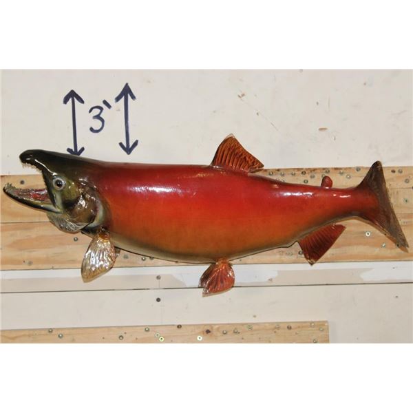 *Real Skin* SOCKEYE SALMON Fish Mount