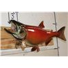 Image 2 : *Real Skin* SOCKEYE SALMON Fish Mount