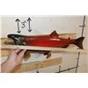 Image 7 : *Real Skin* SOCKEYE SALMON Fish Mount