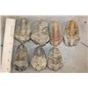 Image 2 : (7) TRILOBITE Fossils from Morocco. (ONE$)