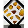 Image 13 : (10) Pieces of Authentic Myanmar AMBER Fossil Specimens with Insects, Weight: 9.54 grams (ONE$)