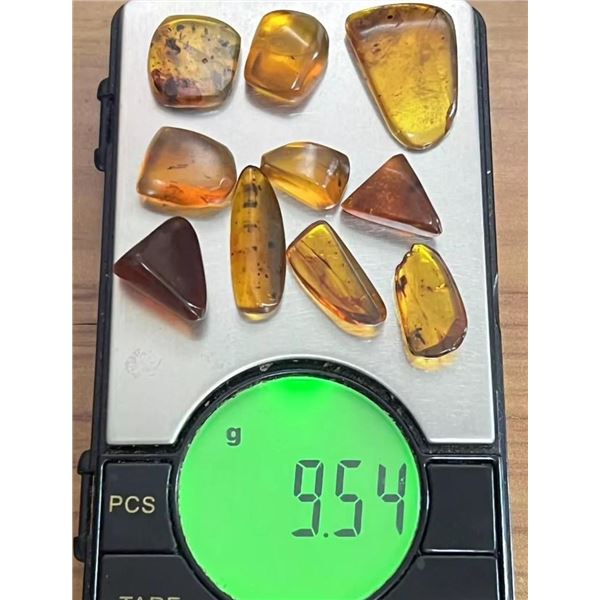 (10) Pieces of Authentic Myanmar AMBER Fossil Specimens with Insects, Weight: 9.54 grams (ONE$)