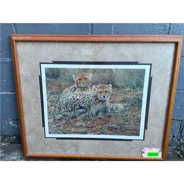 "Little Princess" Cheetah Art Print signed by artist Alan M. Hunt with a COA in a Wooden Frame
