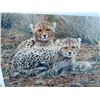 Image 2 : "Little Princess" Cheetah Art Print signed by artist Alan M. Hunt with a COA in a Wooden Frame