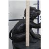 Image 6 : BIG BRONZE MONKEY Sculpture, Weight 11lbs