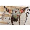 Image 7 : Partial BUFFALO/BISON Skull Decorated and Embellished