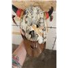 Image 8 : Partial BUFFALO/BISON Skull Decorated and Embellished