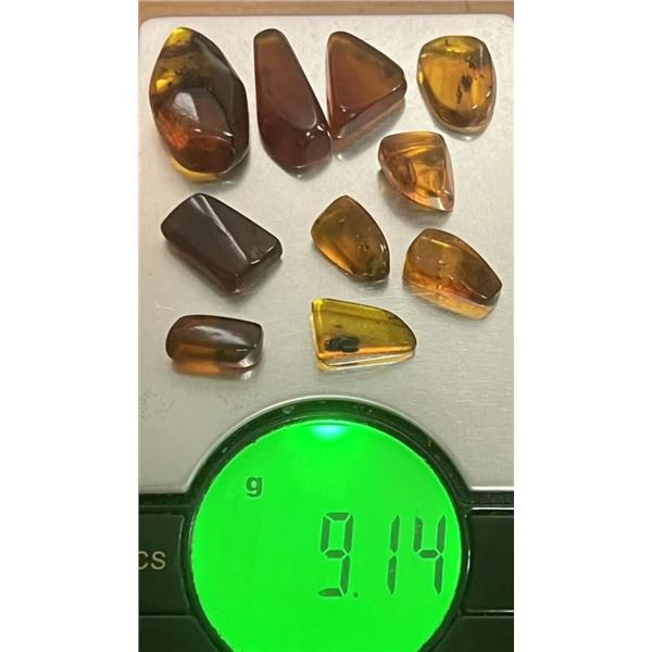 (10) Pieces of Authentic Myanmar AMBER Fossil Insect and Plant Specimens, Weight: 9.14 g (ONE$)