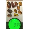 Image 1 : (10) Pieces of Authentic Myanmar AMBER Fossil Insect and Plant Specimens, Weight: 9.14 g (ONE$)