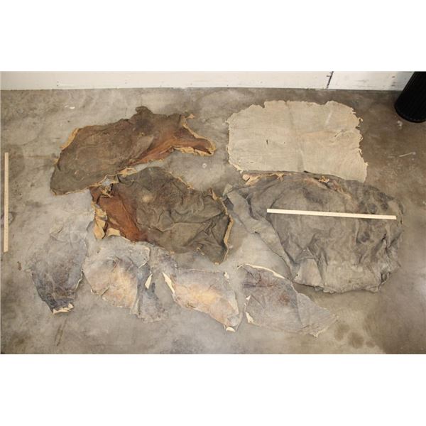 (8) Pieces of African ELEPHANT Hide or Skin (ONE$)