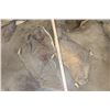 Image 6 : (8) Pieces of African ELEPHANT Hide or Skin (ONE$)