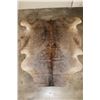 Image 1 : *Brand New* Brown and Tan  COW HIDE