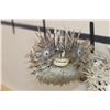 Image 5 : (2) BALLOONFISH aka "Long-spine PORCUPINE FISH" (ONE$)