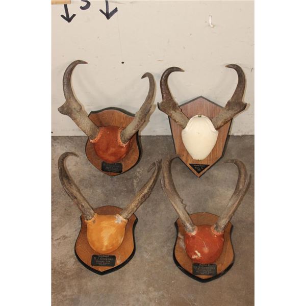 (4) Sets of Mounted PRONGHORNS on Wooden Plaques (ONE$)