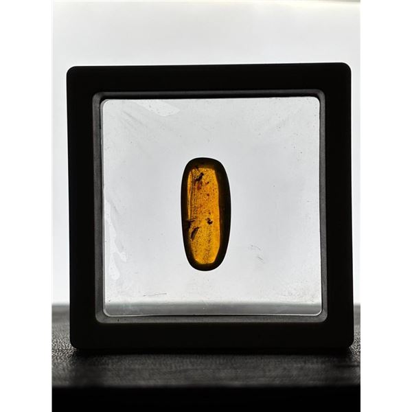 Authentic 10.3 ct Myanmar AMBER Fossil Resin with a Horsefly Inclusion