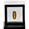 Image 1 : Authentic 10.3 ct Myanmar AMBER Fossil Resin with a Horsefly Inclusion