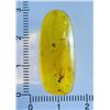 Image 4 : Authentic 10.3 ct Myanmar AMBER Fossil Resin with a Horsefly Inclusion