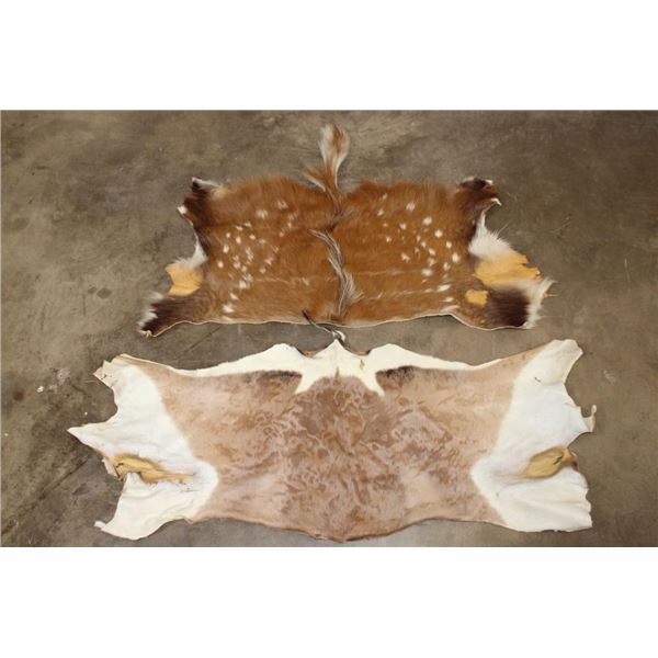 (1) BUSHBUCK Back Hide and (1) IMPALA Back Hide (ONE$)