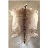 Image 1 : WHITETAIL DEER Hide