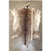 Image 2 : WHITETAIL DEER Hide