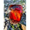 Image 1 : Real SCORPION Specimen in Simulated Amber