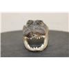 Image 4 : Baby ALLIGATOR Head with Marble Eyes