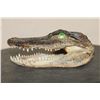 Image 5 : Baby ALLIGATOR Head with Marble Eyes