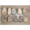Image 7 : (10) TRILOBITE Fossil Specimens from Morocco (ONE$)