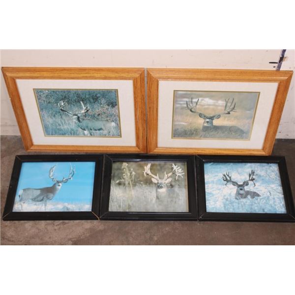 (5) Framed MULE DEER Photo Prints (ONE$)