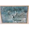 Image 4 : (5) Framed MULE DEER Photo Prints (ONE$)