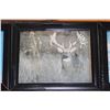 Image 8 : (5) Framed MULE DEER Photo Prints (ONE$)
