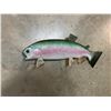 Image 1 : *New in the Box* RAINBOW TROUT Fish Mount