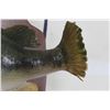 Image 5 : Real Skin LARGE MOUTH BASS on a Wooden Plaque