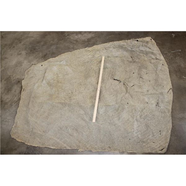 Big Soft and Tanned Piece of ELEPHANT Hide