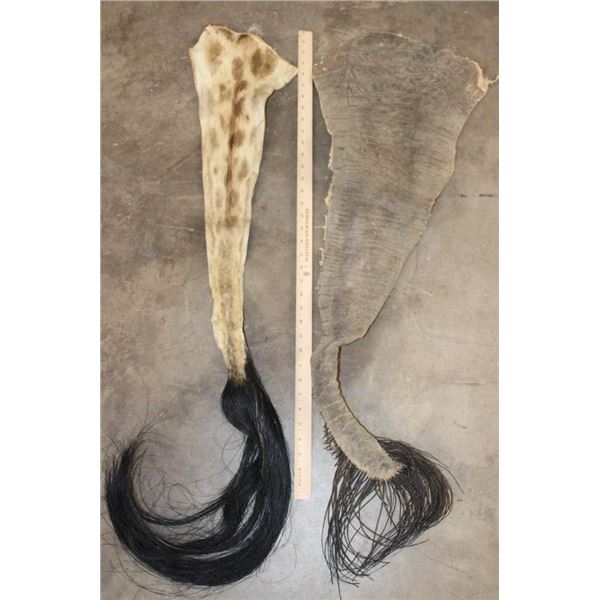 (1) GIRAFFE and (1) ELEPHANT Tail (ONE$)