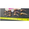 Image 3 : (10) XXL North American BADGER Claws (ONE$)