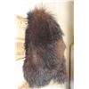 Image 5 : BLACK BEAR Bottom and Tail Mount
