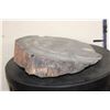 Image 3 : Fossilized PETRIFIED WOOD Slice