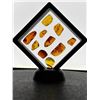 Image 11 : (10) Pieces of Authentic Myanmar AMBER with Insect Inclusions (ONE$)
