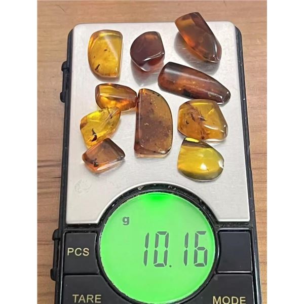 (10) Pieces of Authentic Myanmar AMBER with Insect Inclusions (ONE$)