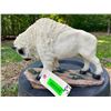 Image 3 : Native American Sacred WHITE BUFFALO Statue